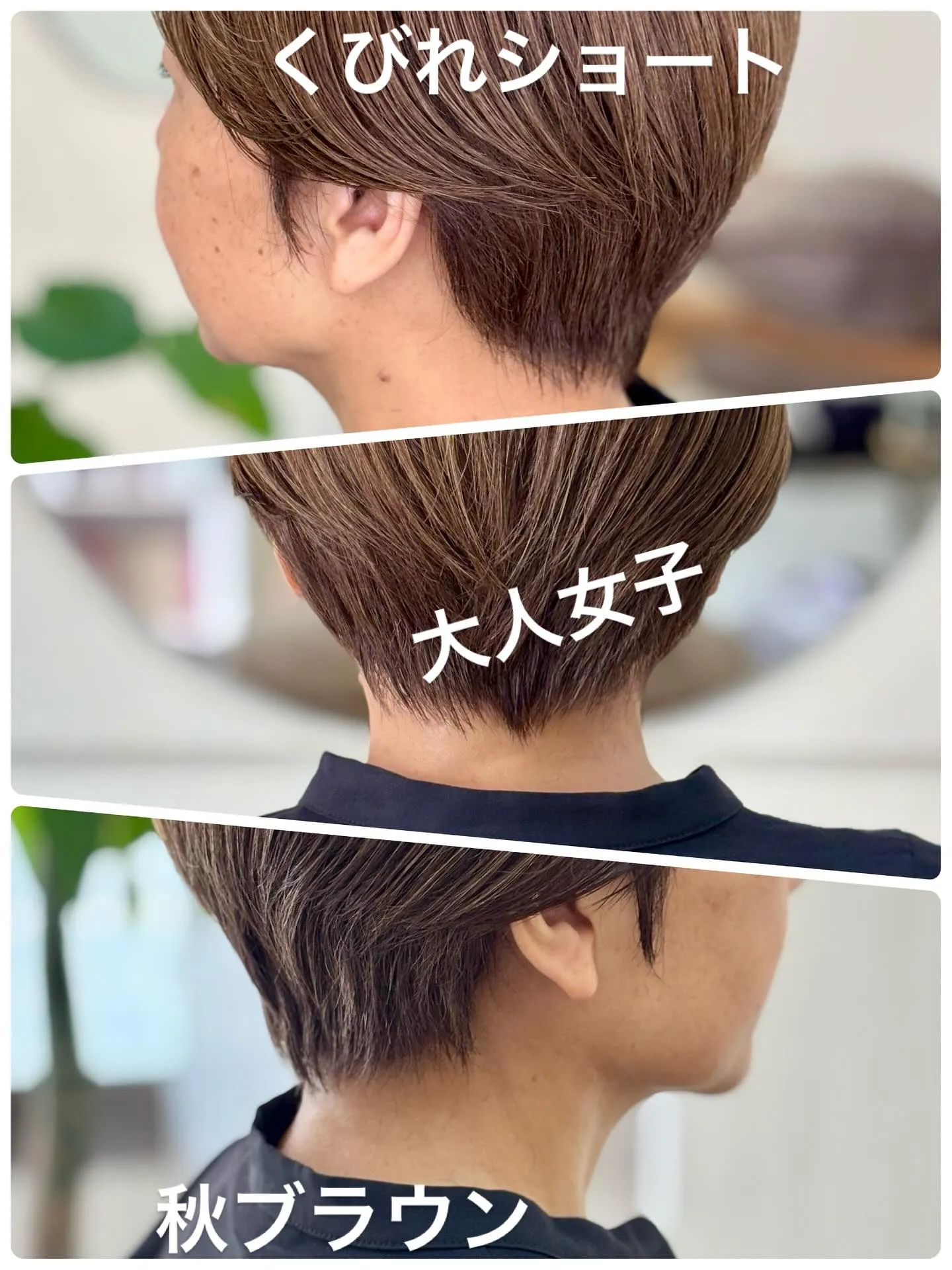 少しずつお出掛けしやすくなる✨